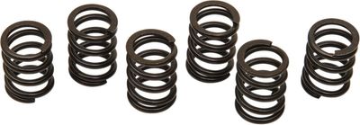 Fjädersats koppling Barnett Suzuki TL 1000 R / TL 1000 S 98-02