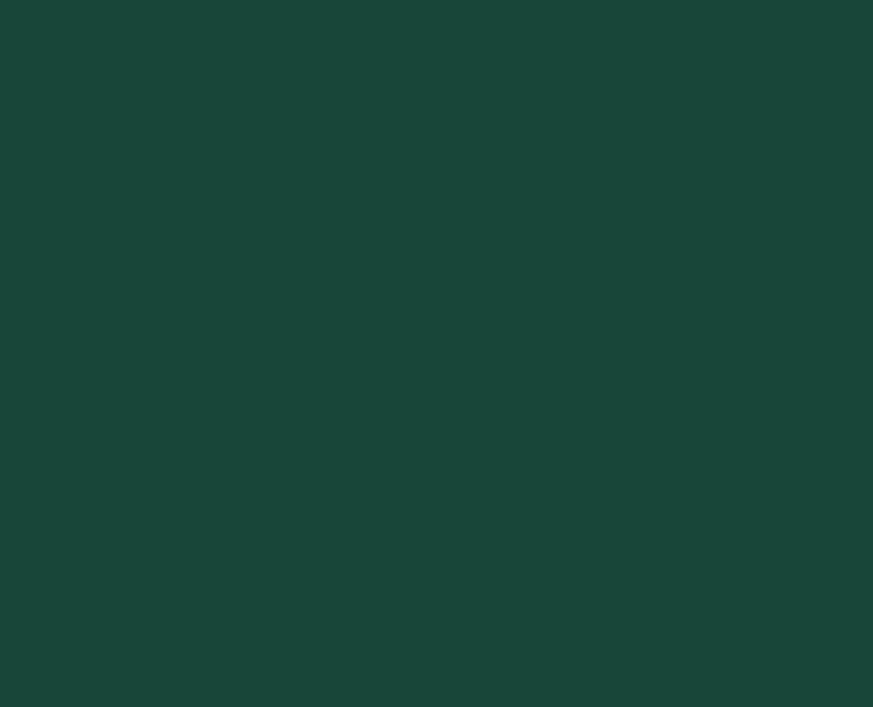 Metallack CombiColor Blank Mörk Grön