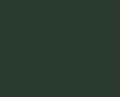 Metallack CombiColor Blank RAL6009 Mörk Grön 0.25L