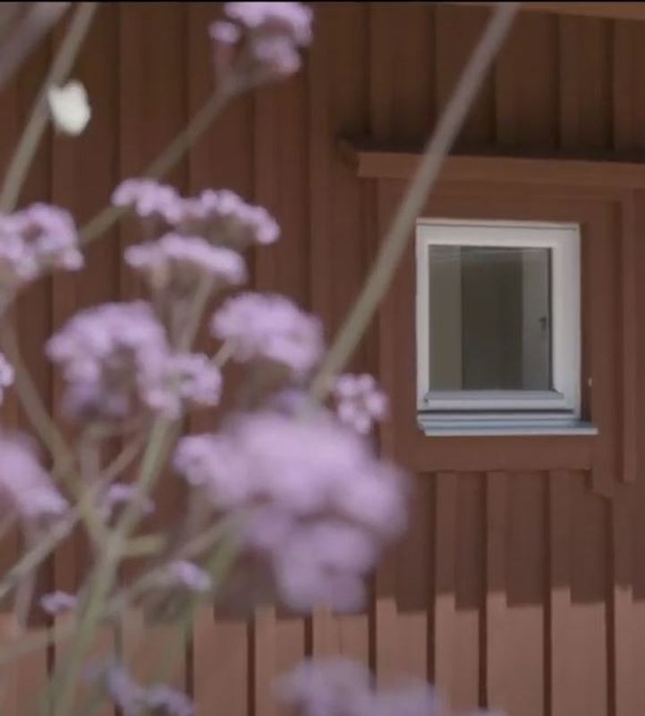 Bruntjära Auson