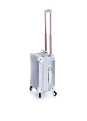 Suitcase Silver