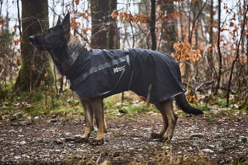 Non-Stop Dogwear Trekking raincoat