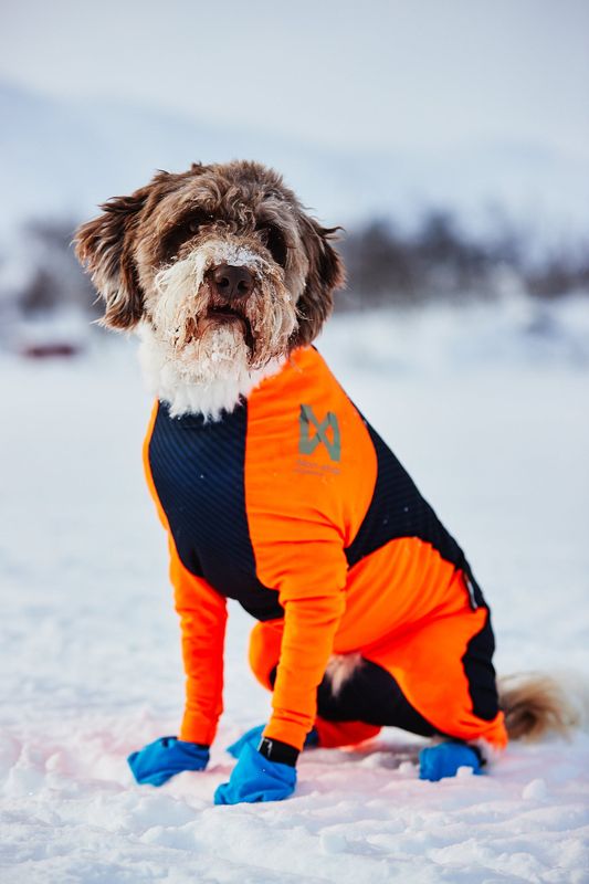 Non-Stop Dogwear Protector snow