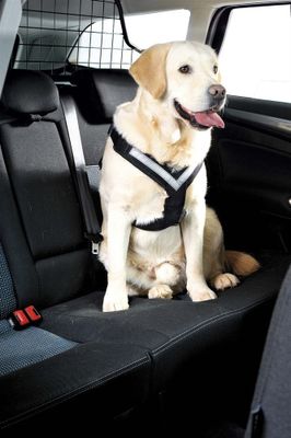 MIM Hundsele AllSafe M (15-30kg)