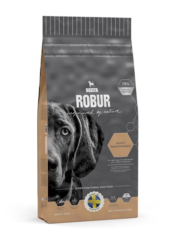 Robur Adult Maint. 13 kg