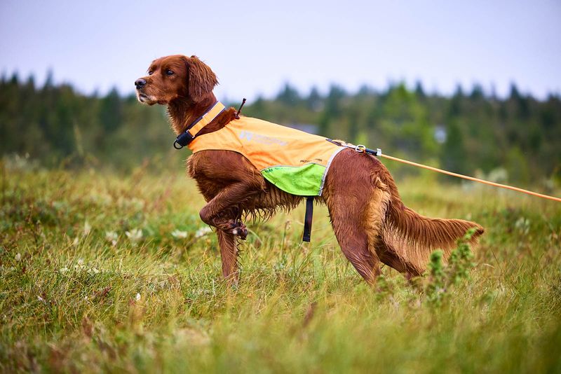 Non-Stop Dogwear Protector round long line