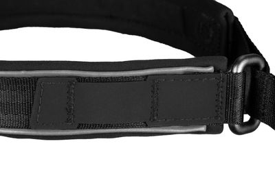 Non-Stop Dogwear Cruise collar