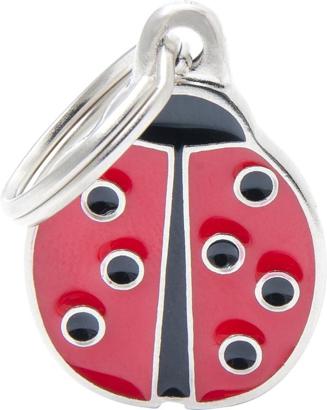 Tegn charms, ladybug