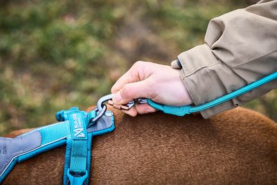 Non-Stop Dogwear Trekking rope leash