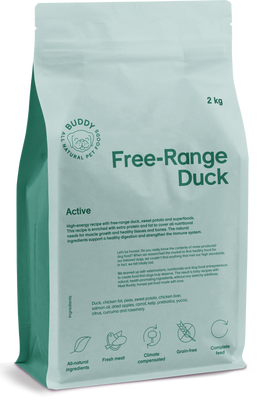 Buddy - Free-Range Duck