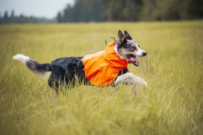 Non-Stop Dogwear Fjord raincoat