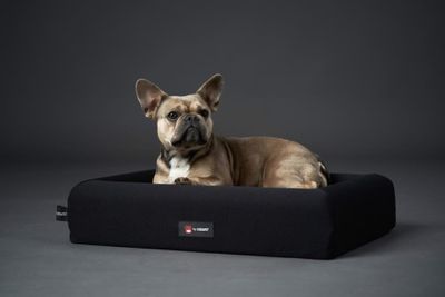 CATAGO FIR-TECH dog basket