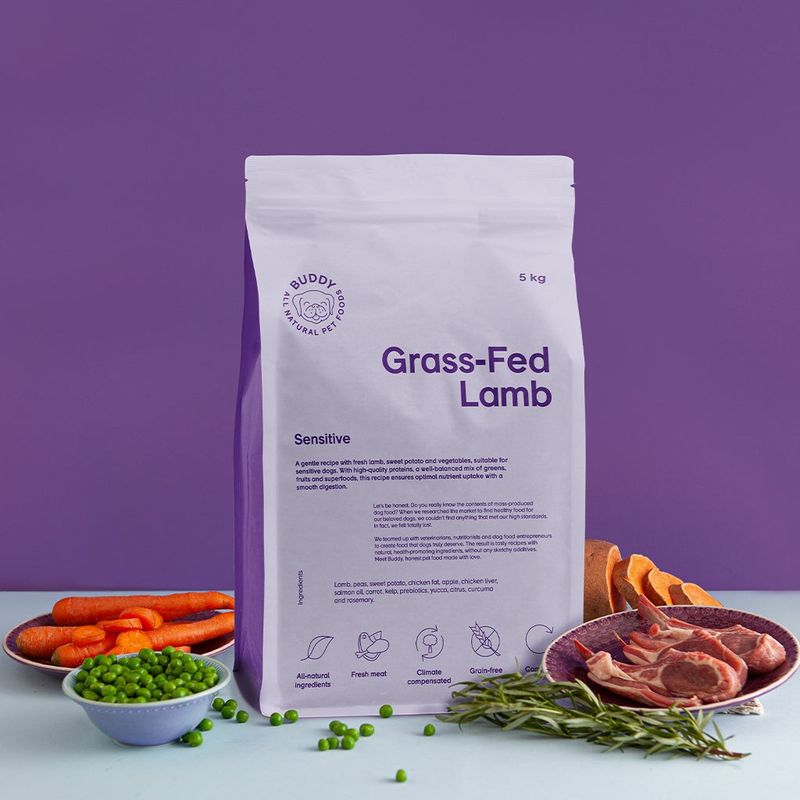 Buddy - Grass-Free Lamb