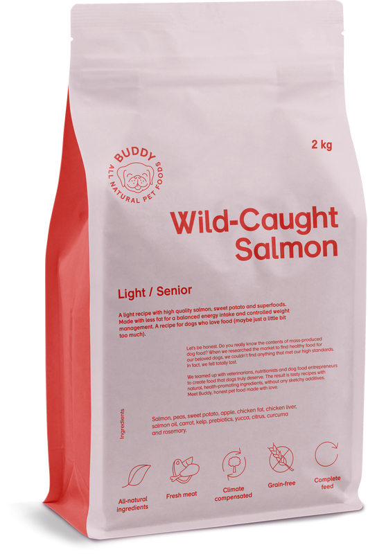 Buddy - Wild Caught Salmon