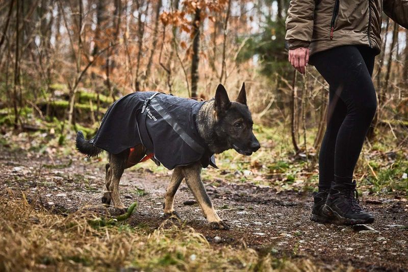 Non-Stop Dogwear Trekking raincoat