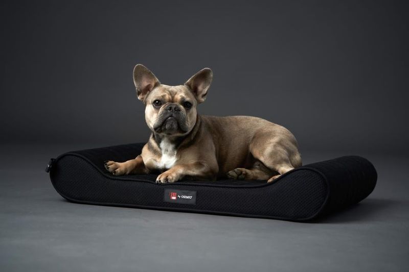 CATAGO FIR-TECH dog pillow