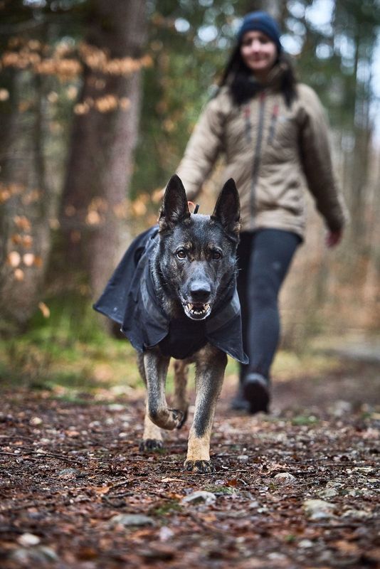 Non-Stop Dogwear Trekking raincoat