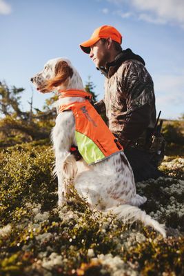 Non-Stop Dogwear Protector vest