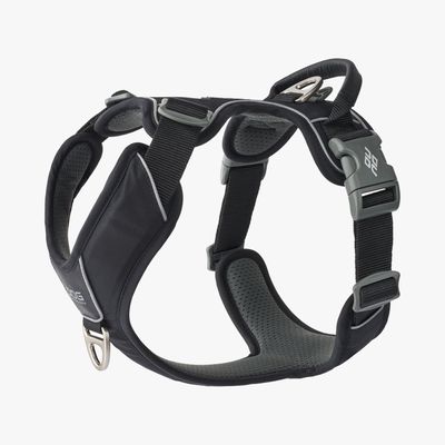 Dog Copenhagen Comfort Walk Pro 3.0 Sele