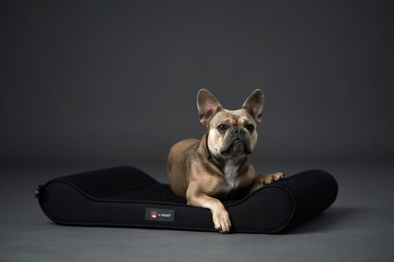 CATAGO FIR-TECH dog pillow