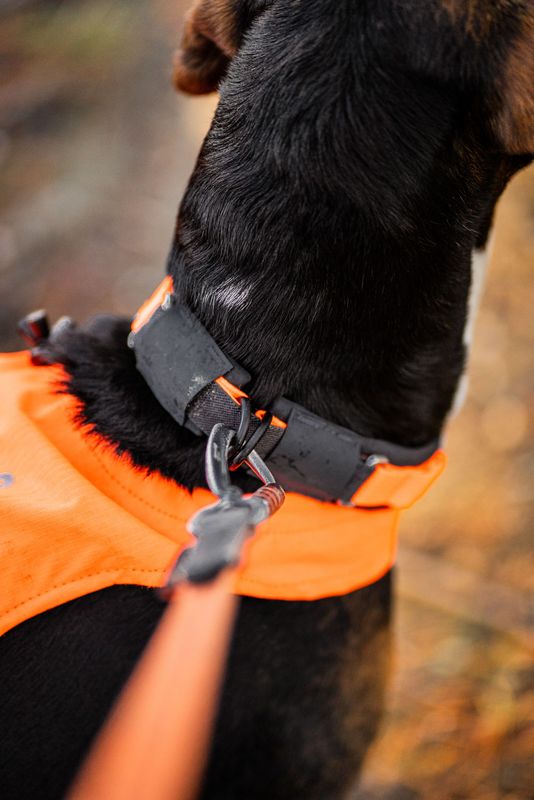 Non-Stop Dogwear Protector collar