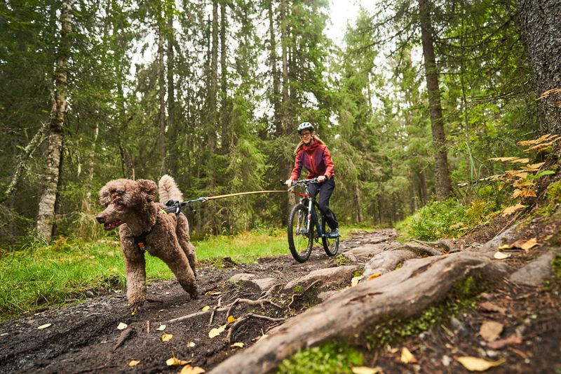 Non-Stop Dogwear Bike antenna