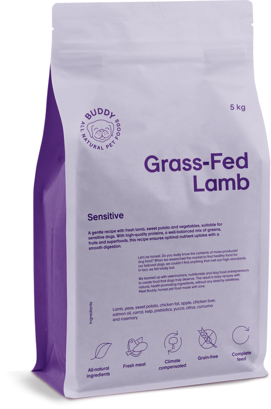 Buddy - Grass-Free Lamb