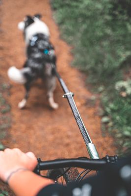 Non-Stop Dogwear Bike antenna