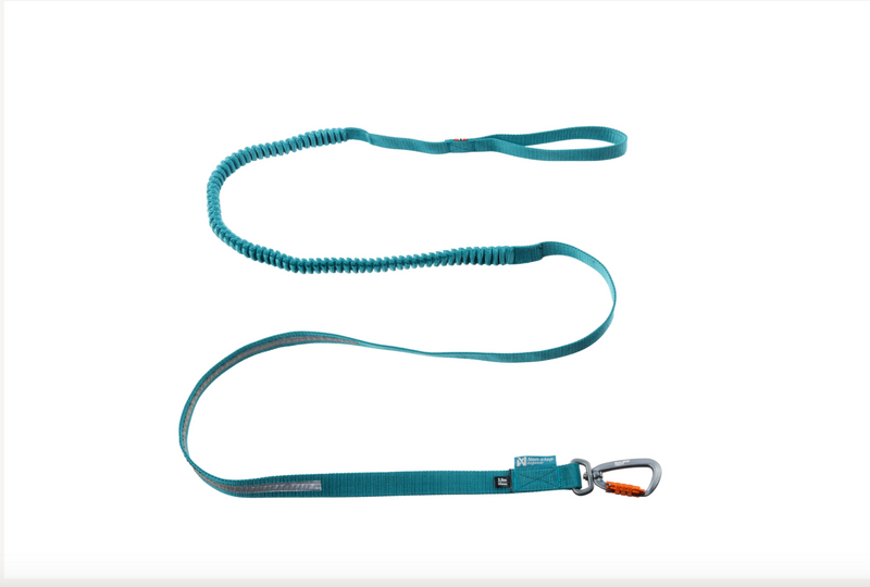 Non-Stop Dogwear Touring bungee leash