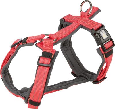 Trekking harness, neoprene padded