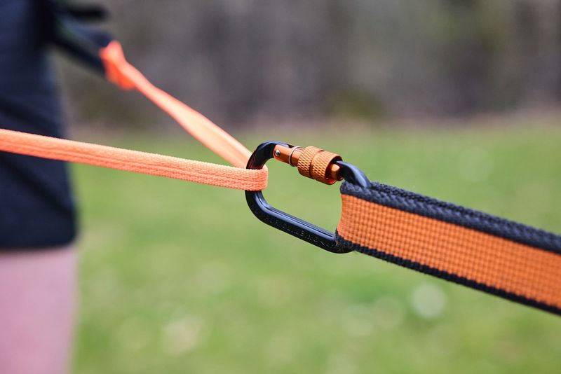 Non-Stop Dogwear Canix belt pro