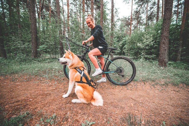 Non-Stop Dogwear Bike antenna