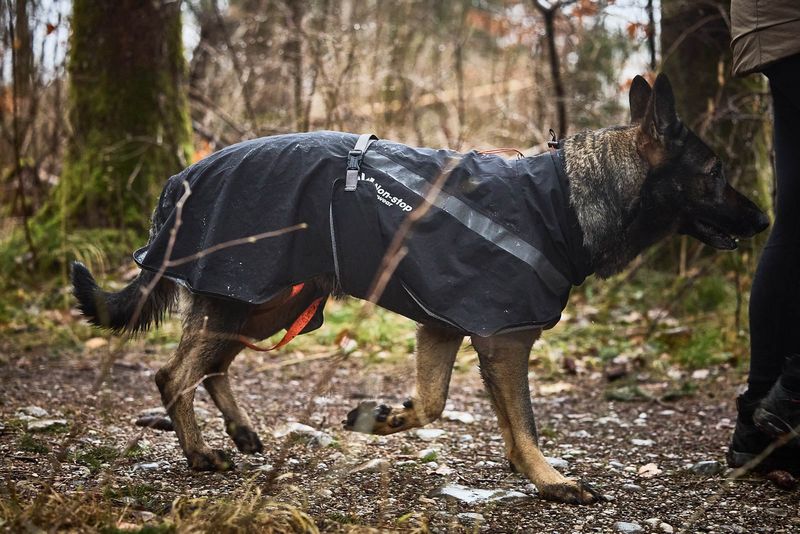 Non-Stop Dogwear Trekking raincoat