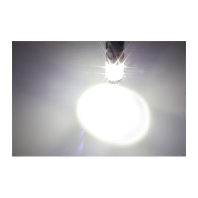 Led Dimljus H8/H11 50W Cree chip