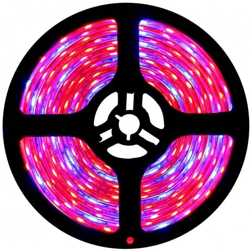Växthus ljusslinga led 5 meter