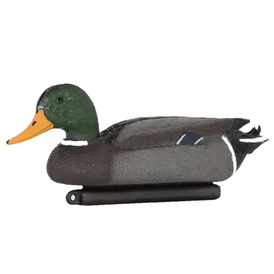 Vette Gräsand Hane