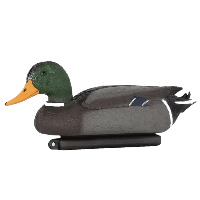 Vette Gräsand Hane