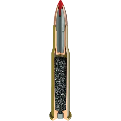 Hornady Leverevolution 45-70 325grain