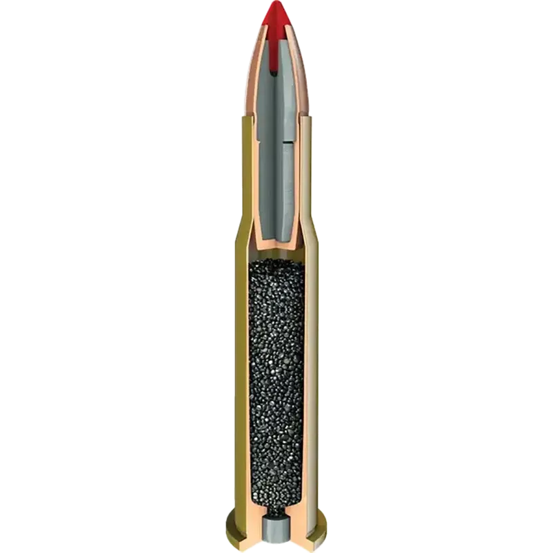 Hornady Leverevolution 45-70 325grain