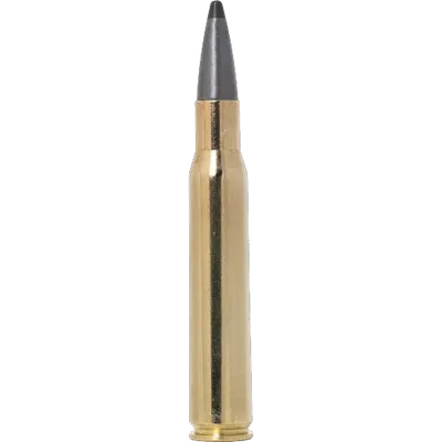 Norma Odin .30-06 11,7g/180gr