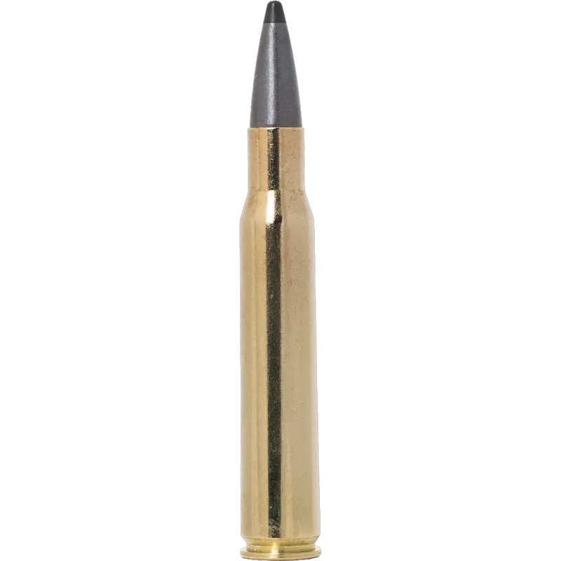 Norma Odin .30-06 11,7g/180gr