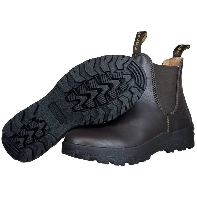 Avignon Darwin Jodhpurs Leather