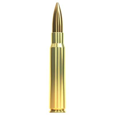 Sellier & Bellot 8x57JS FMJ 196grs/12,7g