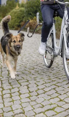 Trixie Biker-set U-formad Cykelset Hund M-XL
