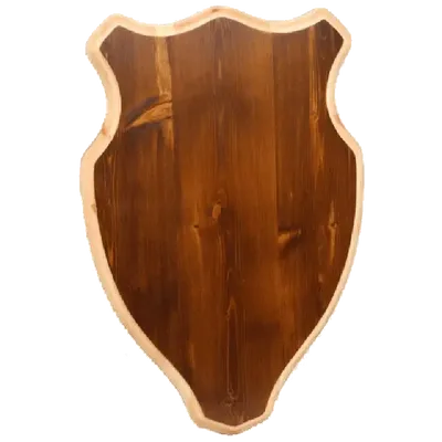 Trofesköld Älg Betsad