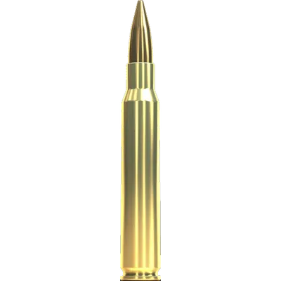 Sellier & Bellot 30-06 FMJ 124gr/8g