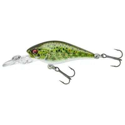 Daiwa Prorex Baby Crank 40MR Live Brown Trout