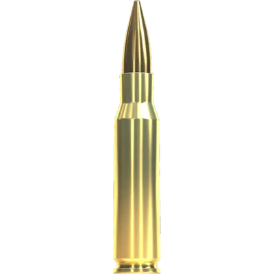 Sellier & Bellot 308 Win FMJ 124gr/8g