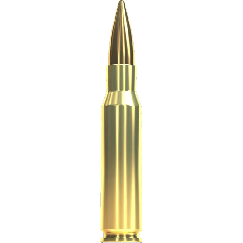 Sellier & Bellot 308 Win FMJ 124gr/8g