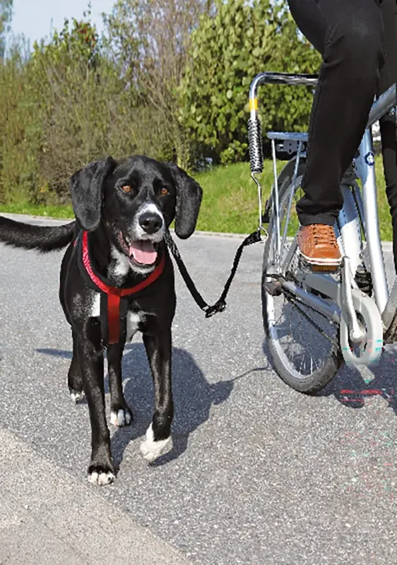 Cykelset De Luxe för hundar